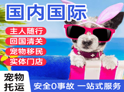 重庆仙女山机场邮寄国际宠物托运 【国